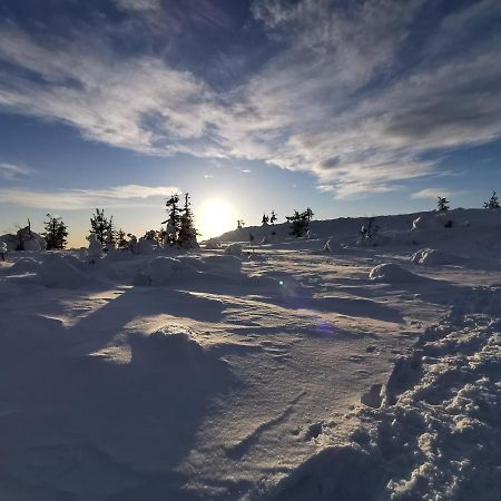 Yllaes Kanerva 105 Äkäslompolo Kültér fotó