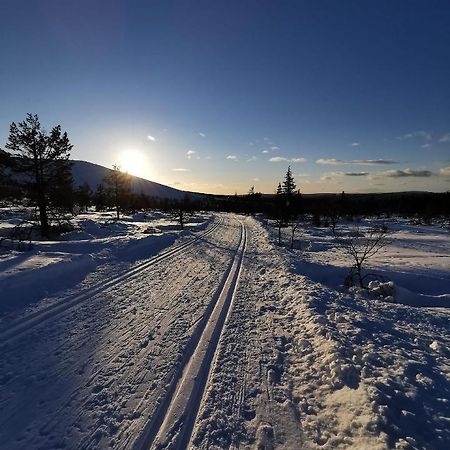 Yllaes Kanerva 105 Äkäslompolo Kültér fotó