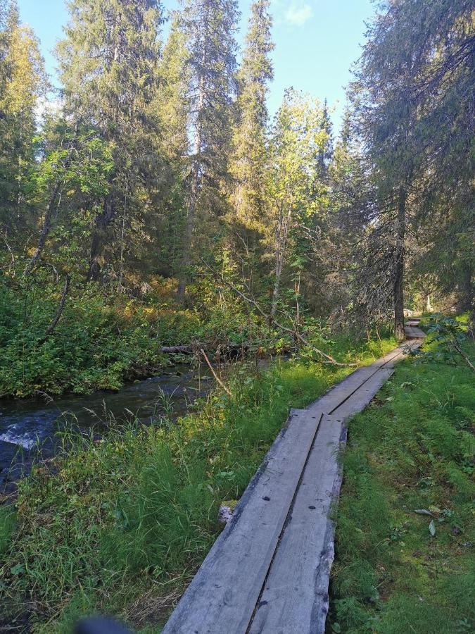 Yllaes Kanerva 105 Äkäslompolo Kültér fotó