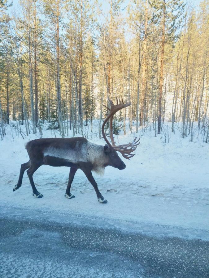 Yllaes Kanerva 105 Äkäslompolo Kültér fotó